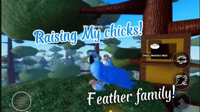 Feather Family How to Hatch Eggs and Raise Chicks