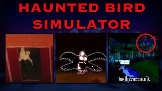 Feather Family Screaming Shoebill: Myth, Ritual, and Lore