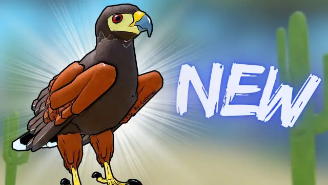 Feather Family Update Log: Recent Patches and Version History